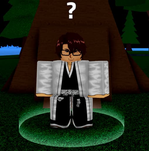 Aizen Teacher NPC