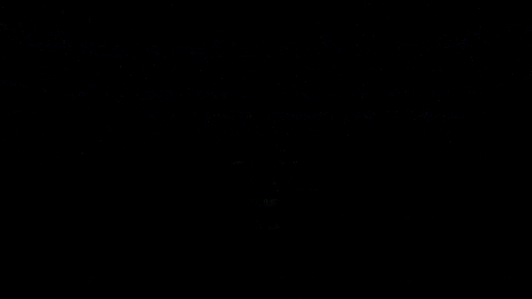MVP Animations