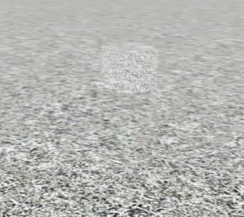 Invisible