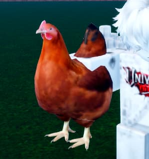 chicken in universal piece