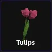 tulips item in dig