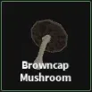 browncap mushroom  item in dig