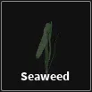 seaweed item in dig